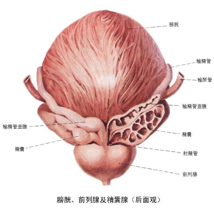 点击图片进入下一页